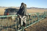 We jumped the fence to get in