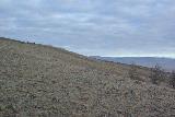 The view from the top