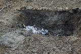 garbage hole